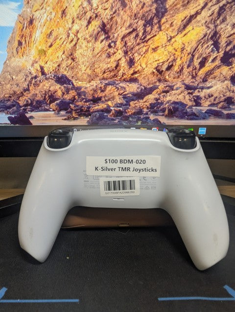 Custom Pre-Built - PS5 Controller - White
