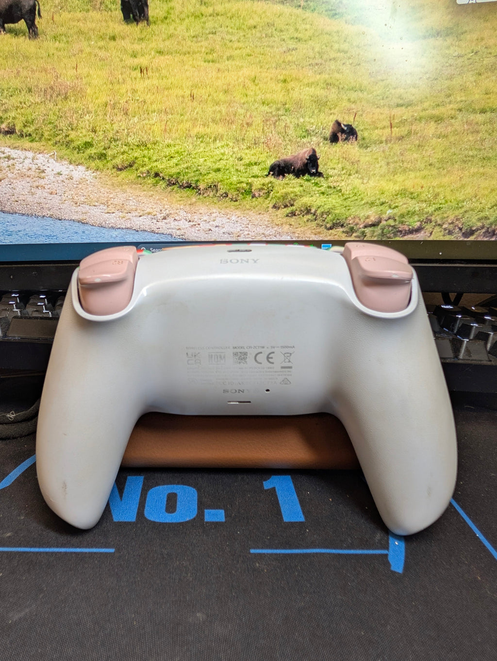 Custom Pre-Built - PS5 Controller - Xmas - TMR