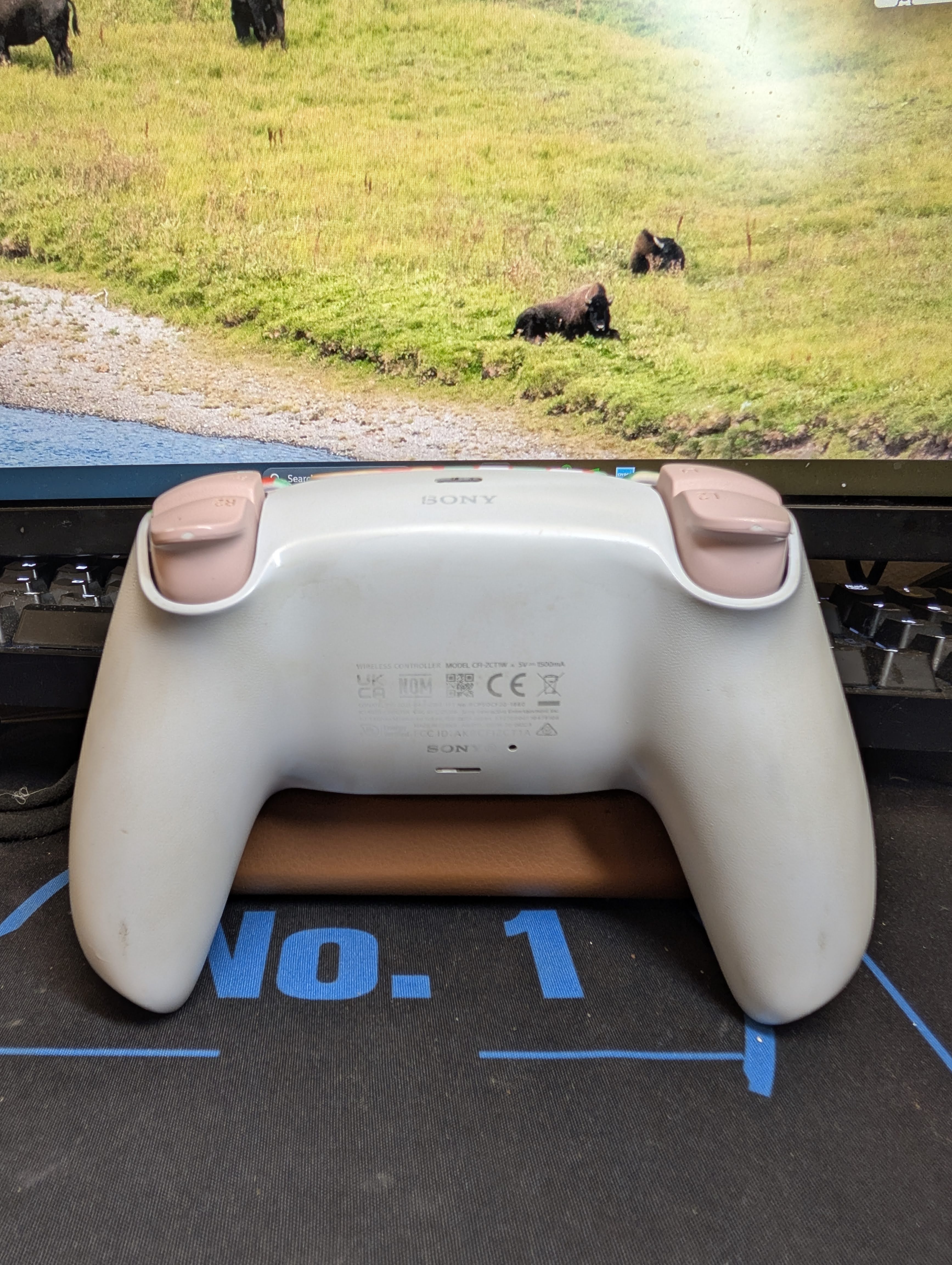 Custom Pre-Built - PS5 Controller - Xmas - TMR