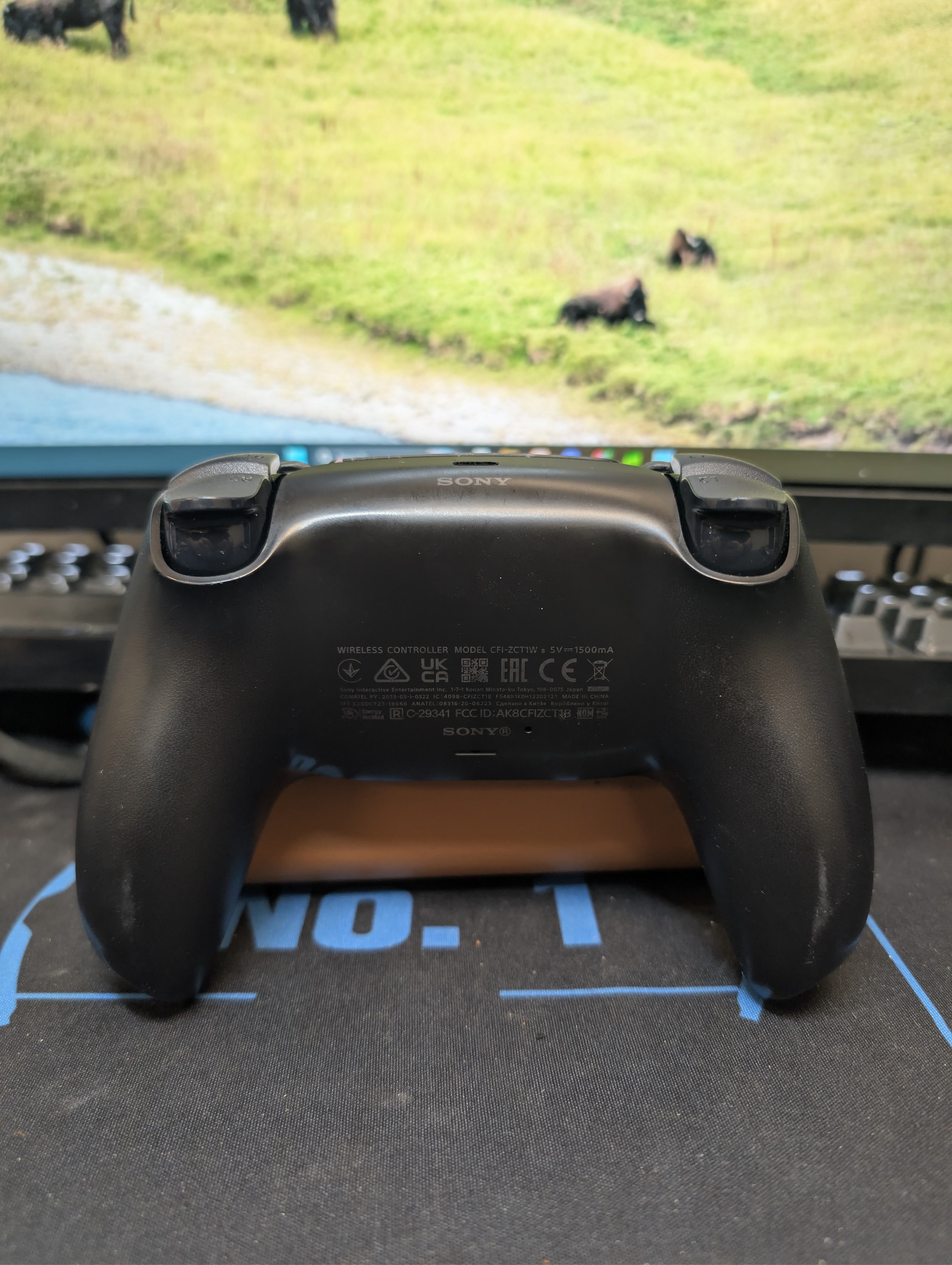 Custom Pre-Built - PS5 Controller - Toxic Punk Bunny - TMR & Clicky Buttons